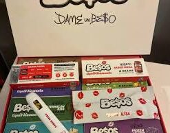 Besos disposable Wholesale
